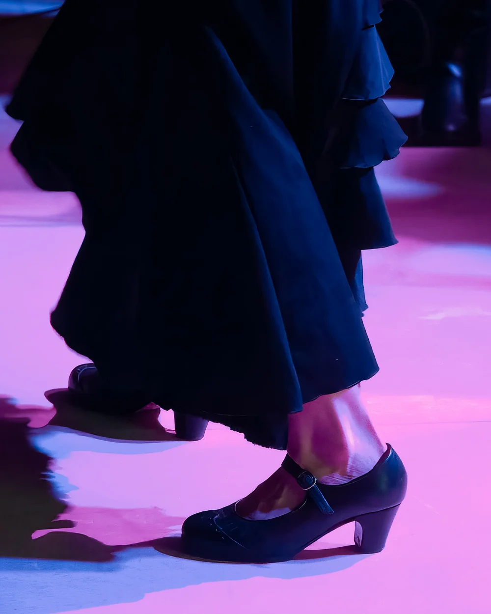 El zapato y la falda de una bailaora flamenca sobre el escenario de la gala benéfica